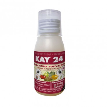 Kay 24 JED 50
