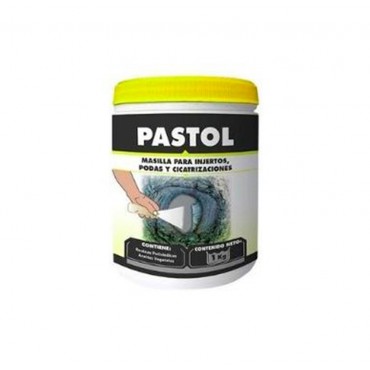 Pastol 1Kg